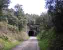 Le Tunnel du Dattier (56 Ko) - Cliquer pour agrandir